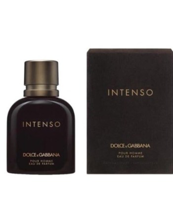 Dolce & Gabbana Men's Intenso EDP Spray 6.7 oz Fragrances